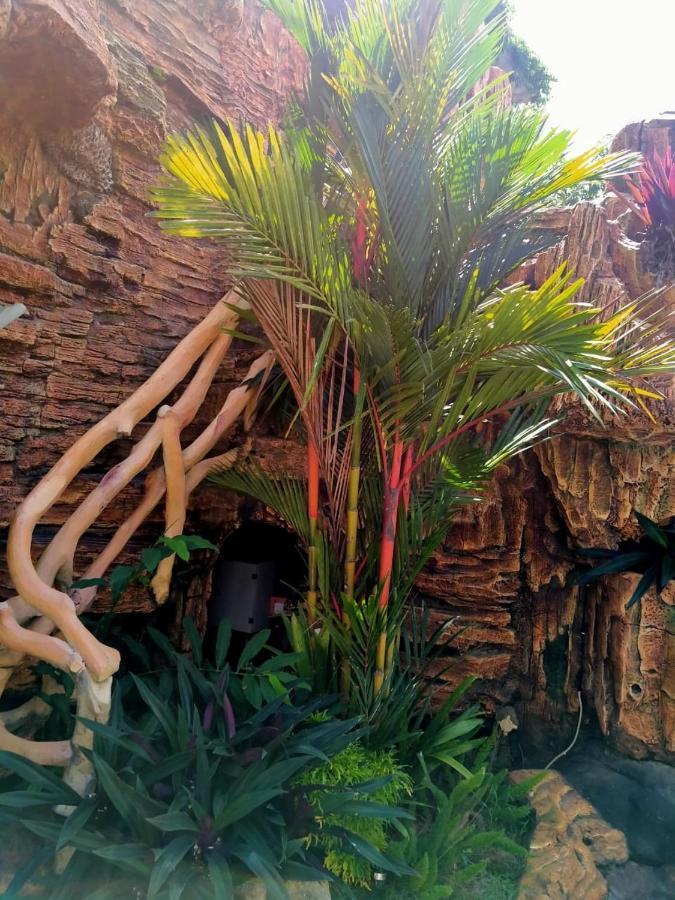 Long Beach Hotel بانجانداران المظهر الخارجي الصورة